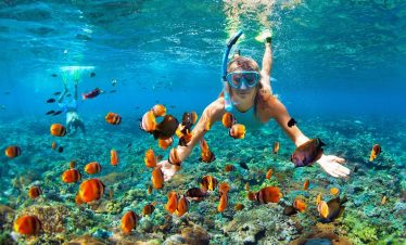Caribbean Escape Cruise