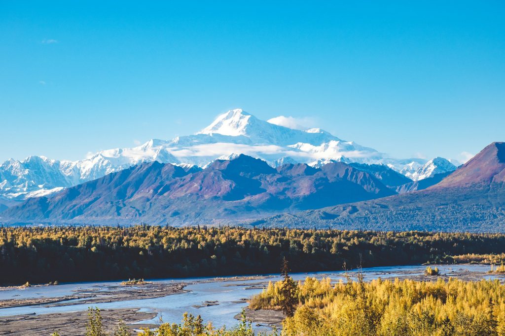 Snow-covered peak in the Alaska Range rising above fall-colored tundra and spruce in Denali National Park
