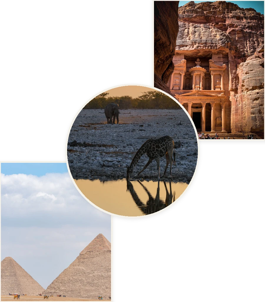 Travel collage: Petra, African safari and Pyramids of Giza
